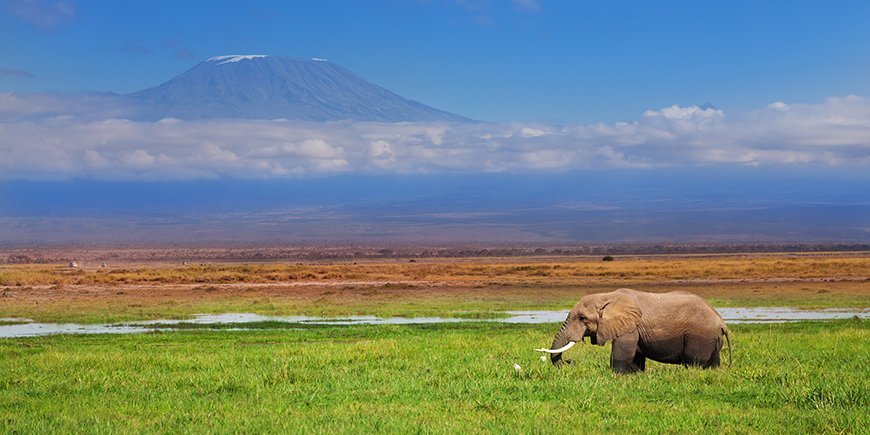 amboseli-kilimanjaro