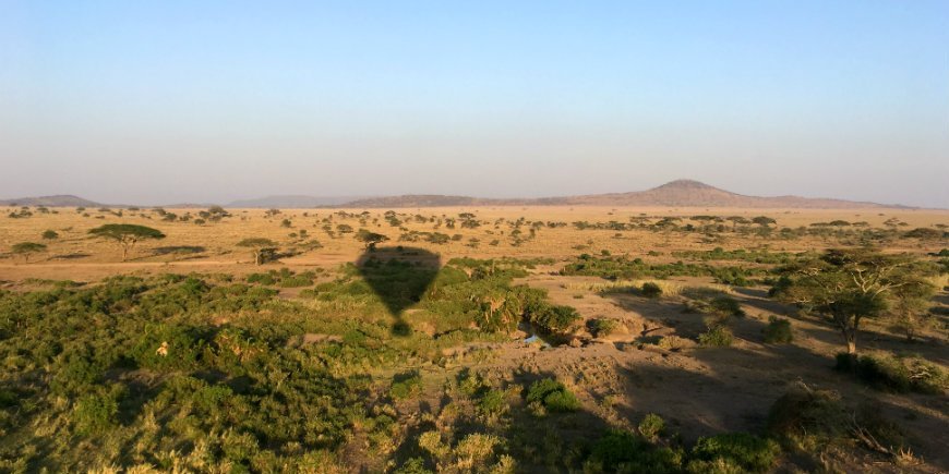 utsikt over serengeti