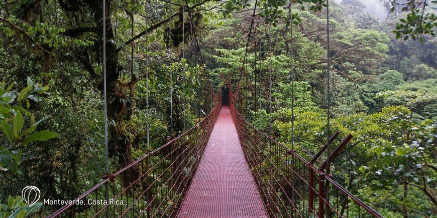 Monteverde i Costa Rica